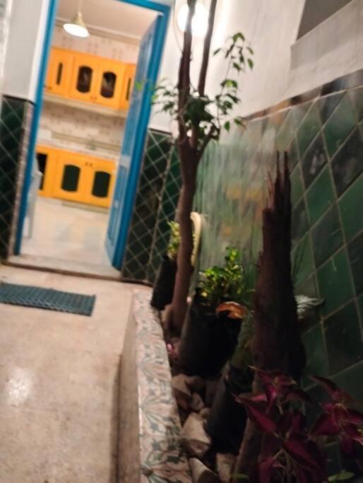 Coup De Coeur A Sidi Bou Said Villa Buitenkant foto