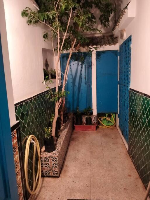 Coup De Coeur A Sidi Bou Said Villa Buitenkant foto